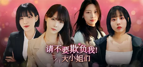 请不要欺负我，大小姐们！游戏logo